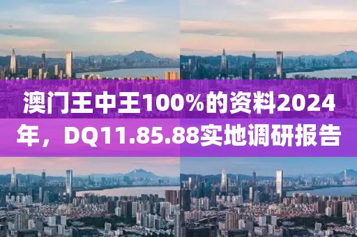 澳門王中王100%的資料2024年，DQ11.85.88實地調研報告