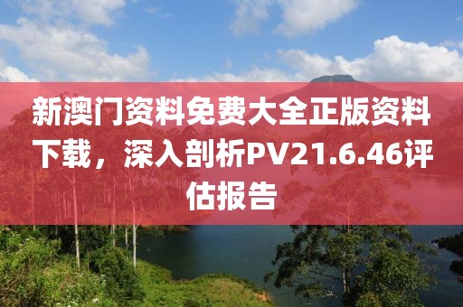 新澳門資料免費大全正版資料下載,深入剖析PV21.6.46評估報告