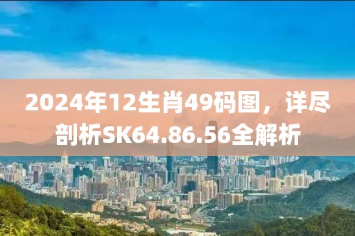 2024年12生肖49碼圖，詳盡剖析SK64.86.56全解析