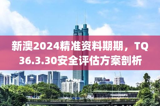 新澳2024精準資料期期，TQ36.3.30安全評估方案剖析