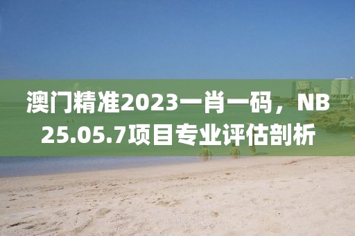 澳門精準2023一肖一碼，NB25.05.7項目專業評估剖析