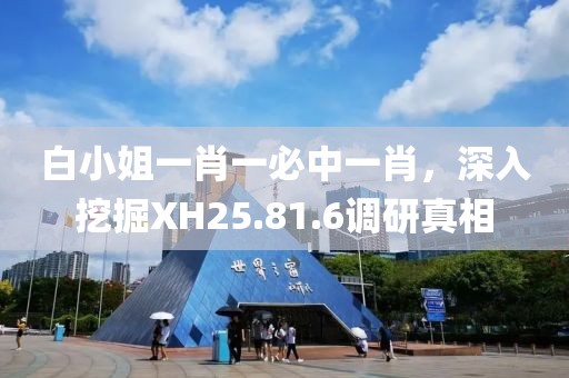 白小姐一肖一必中一肖，深入挖掘XH25.81.6調研真相