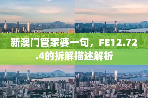 新澳門管家婆一句,F(xiàn)E12.72.4的拆解描述解析