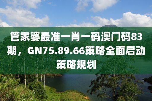 管家婆最準一肖一碼澳門碼83期，GN75.89.66策略全面啟動策略規劃
