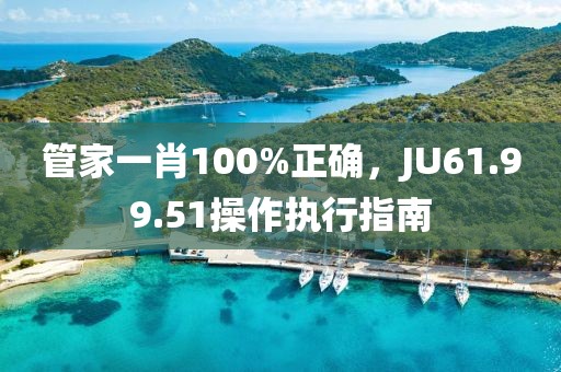 管家一肖100%正確，JU61.99.51操作執(zhí)行指南