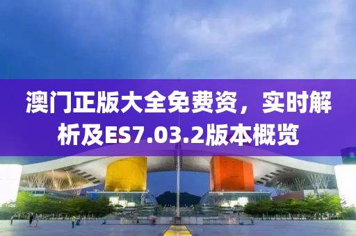 澳門正版大全免費(fèi)資，實(shí)時(shí)解析及ES7.03.2版本概覽