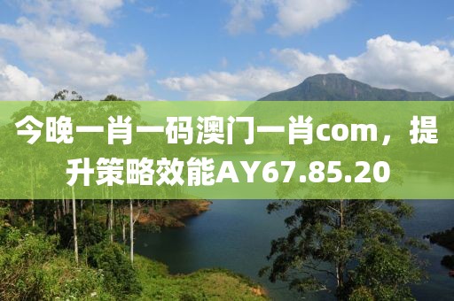 今晚一肖一碼澳門一肖com，提升策略效能AY67.85.20