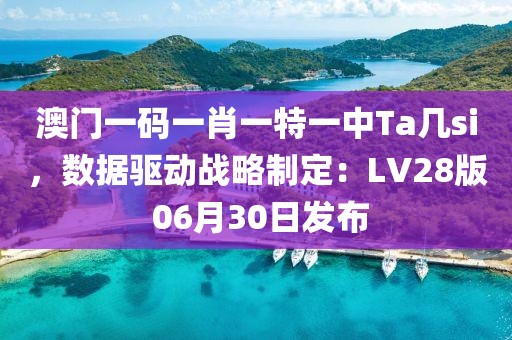 澳門一碼一肖一特一中Ta幾si，數據驅動戰略制定：LV28版 06月30日發布