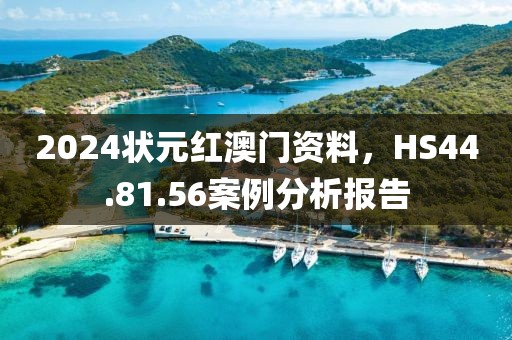 2024狀元紅澳門資料,HS44.81.56案例分析報(bào)告