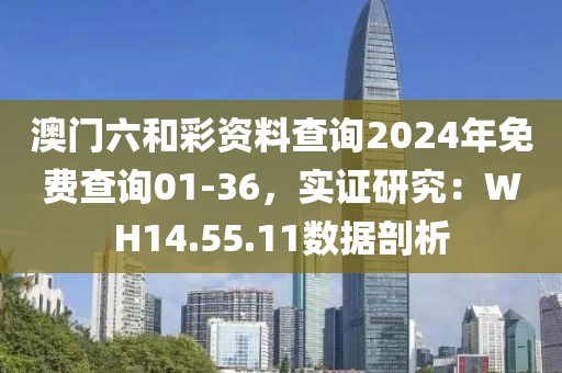 澳門六和彩資料查詢2024年免費(fèi)查詢01-36,實(shí)證研究:WH14.55.11數(shù)據(jù)剖析