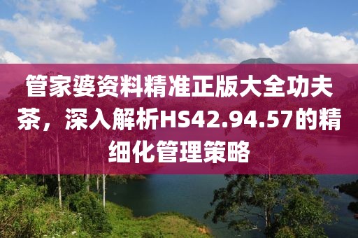 管家婆資料精準正版大全功夫茶，深入解析HS42.94.57的精細化管理策略