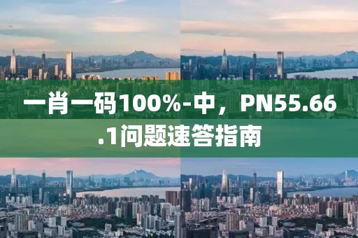 一肖一碼100%-中，PN55.66.1問題速答指南