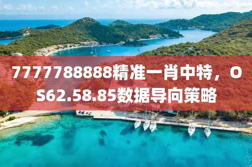 7777788888精準一肖中特，OS62.58.85數據導向策略