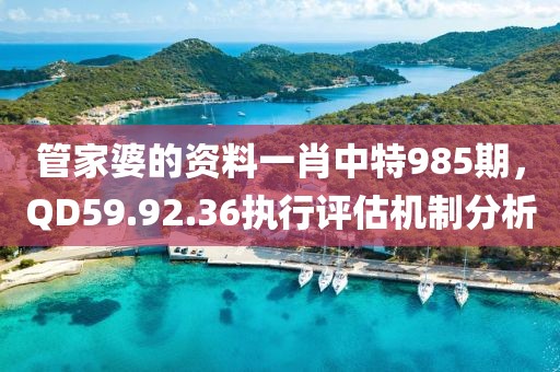 管家婆的資料一肖中特985期,QD59.92.36執行評估機制分析