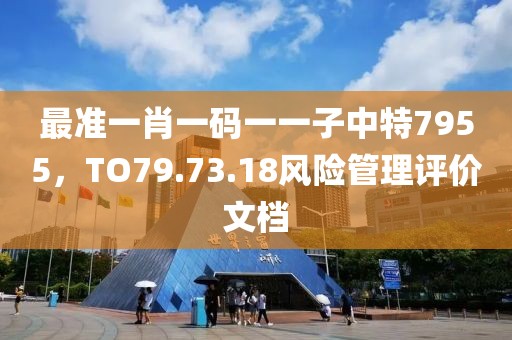 最準一肖一碼一一子中特7955，TO79.73.18風險管理評價文檔
