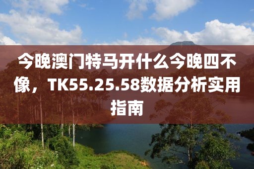 今晚澳門特馬開什么今晚四不像,TK55.25.58數據分析實用指南