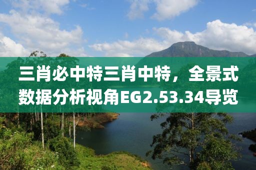 三肖必中特三肖中特，全景式數據分析視角EG2.53.34導覽