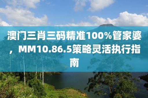 澳門三肖三碼精準100%管家婆，MM10.86.5策略靈活執行指南