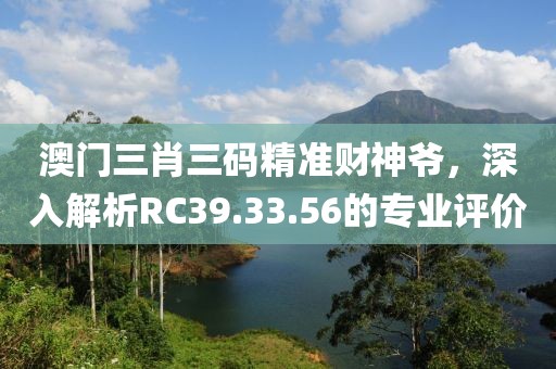 澳門三肖三碼精準財神爺，深入解析RC39.33.56的專業(yè)評價