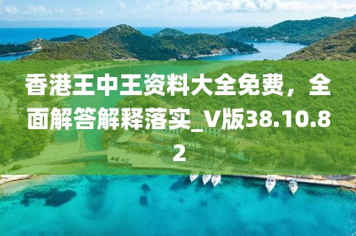 香港王中王資料大全免費，全面解答解釋落實_V版38.10.82