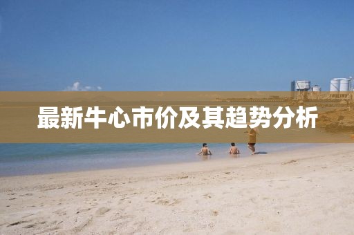 最新牛心市價及其趨勢分析