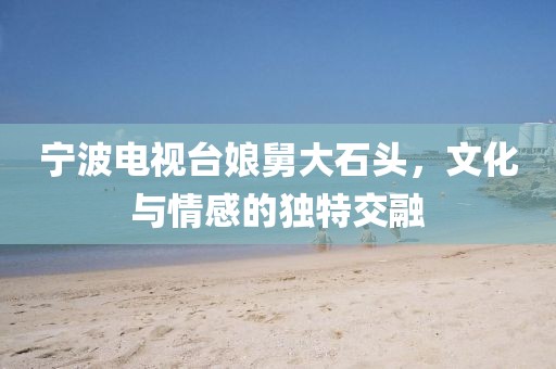 寧波電視臺娘舅大石頭，文化與情感的獨特交融