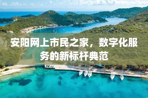 安陽網上市民之家，數字化服務的新標桿典范