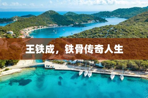 王鐵成，鐵骨傳奇人生