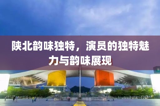 陜北韻味獨特，演員的獨特魅力與韻味展現