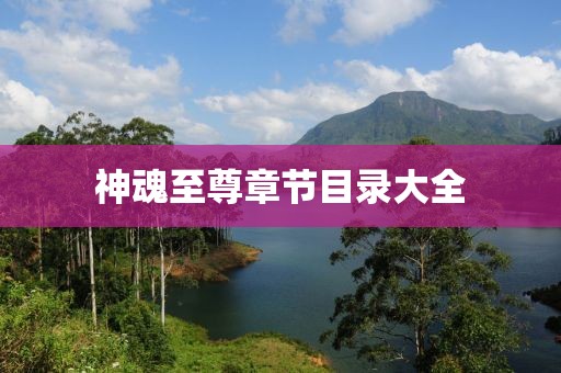 神魂至尊章節(jié)目錄大全