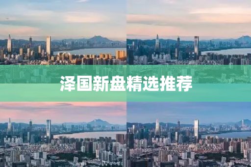 澤國新盤精選推薦