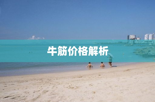 牛筋價(jià)格解析