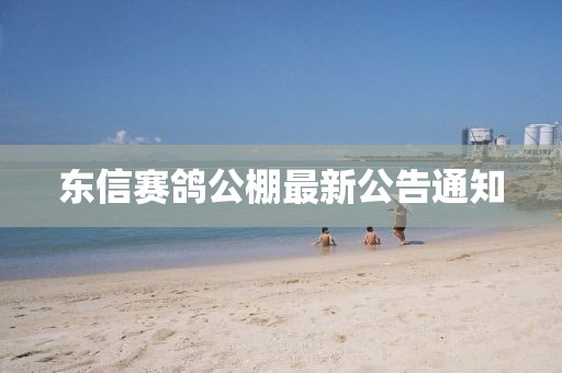 東信賽鴿公棚最新公告通知