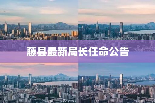 藤縣最新局長任命公告