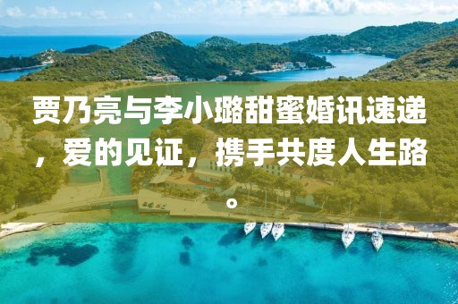 賈乃亮與李小璐甜蜜婚訊速遞，愛的見證，攜手共度人生路。