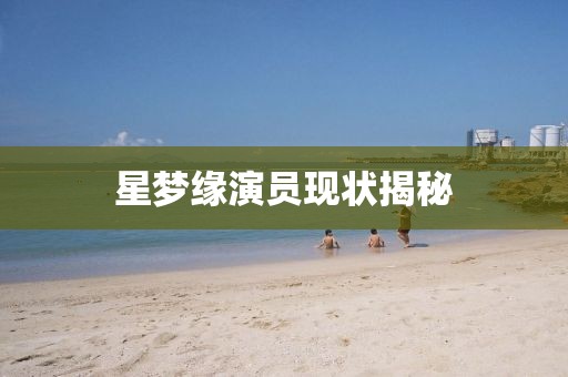 星夢緣演員現狀揭秘