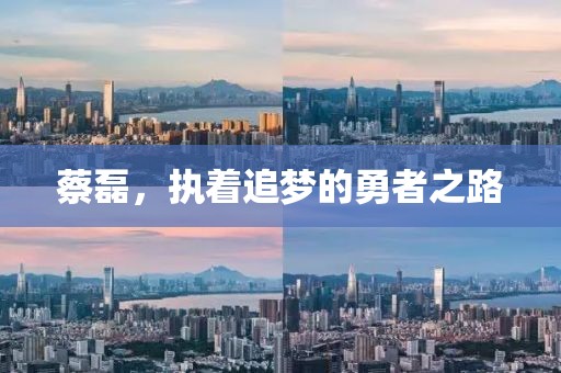 蔡磊,執著追夢的勇者之路