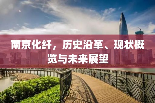 南京化纖，歷史沿革、現狀概覽與未來展望