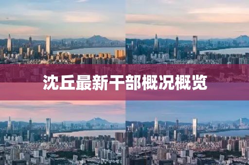 沈丘最新干部概況概覽