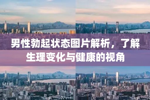 男性勃起狀態(tài)圖片解析，了解生理變化與健康的視角