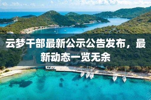 云夢干部最新公示公告發布，最新動態一覽無余