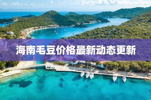 海南毛豆價格最新動態更新