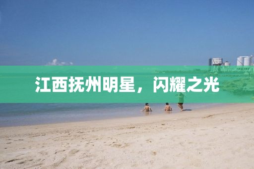 江西撫州明星,閃耀之光