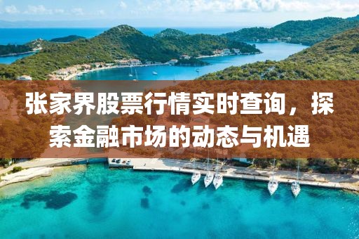 張家界股票行情實時查詢，探索金融市場的動態與機遇