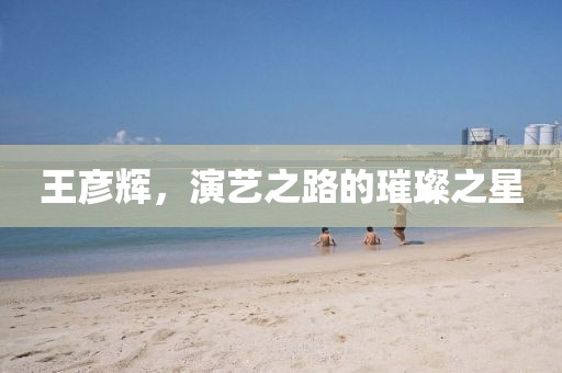 王彥輝,演藝之路的璀璨之星