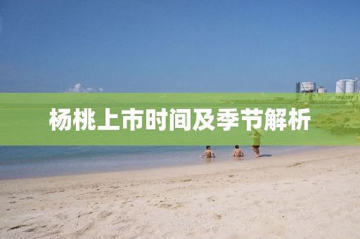 楊桃上市時間及季節解析