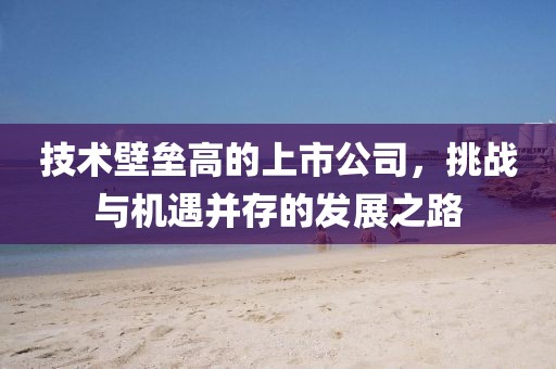 技術(shù)壁壘高的上市公司，挑戰(zhàn)與機(jī)遇并存的發(fā)展之路