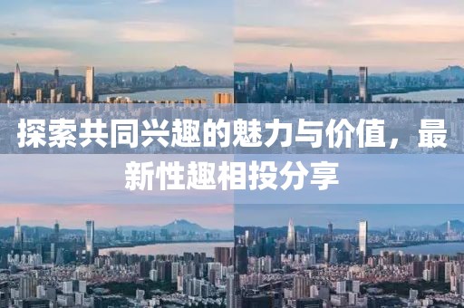 探索共同興趣的魅力與價值,最新性趣相投分享