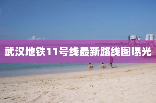 武漢地鐵11號線最新路線圖曝光