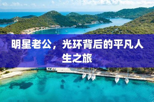 明星老公，光環背后的平凡人生之旅